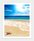 Pintoo H1335 Seashell on the Beach - 500 Piece Jigsaw Puzzle