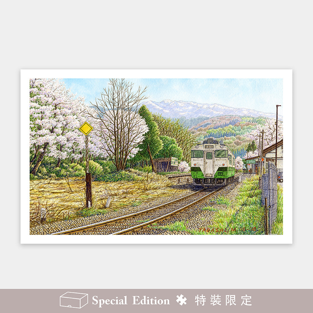 Spring Follows Winter | 1000 Piece Jigsaw Puzzle – Showcase Puzzles