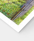 Pintoo H3055 Speed in Summer by Tadashi Matsumoto - 1000 Piece Jigsaw Puzzle