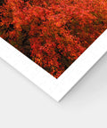 Pintoo H3767 Kyoto, Japan by Kiyomizu-dera - 1000 Piece Jigsaw Puzzle