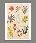 Pintoo H3893 Spring Flowers - 600 Piece Jigsaw Puzzle by Mandie