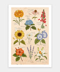 Pintoo H3894 Summer Flowers - 600 Piece Jigsaw Puzzle by Mandie