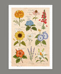 Pintoo H3894 Summer Flowers - 600 Piece Jigsaw Puzzle by Mandie