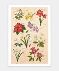 Pintoo H3896 Winter Flowers - 600 Piece Jigsaw Puzzle by Mandie