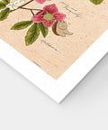 Pintoo H3896 Winter Flowers - 600 Piece Jigsaw Puzzle by Mandie