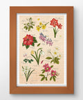 Pintoo H3896 Winter Flowers - 600 Piece Jigsaw Puzzle by Mandie