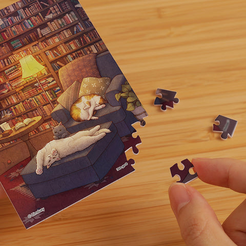 Pintoo Q1202 Library - 80 Piece XS Jigsaw Puzzle by Limduey