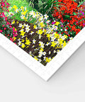Sea House - 4800 Piece Jigsaw Puzzle