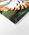 The Creation of "Alexander" (I am not a chubby tiger)
