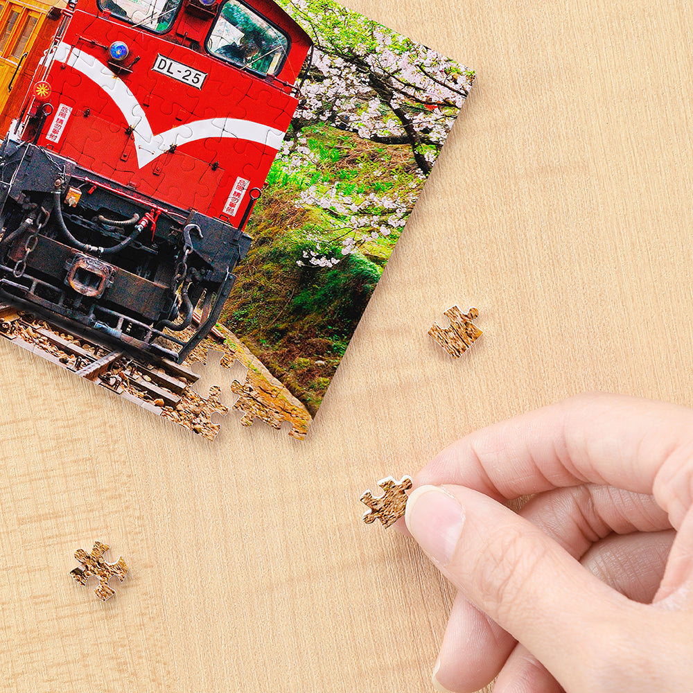Forest Train in Alishan National Park - 253 Piece XS Jigsaw Puzzle