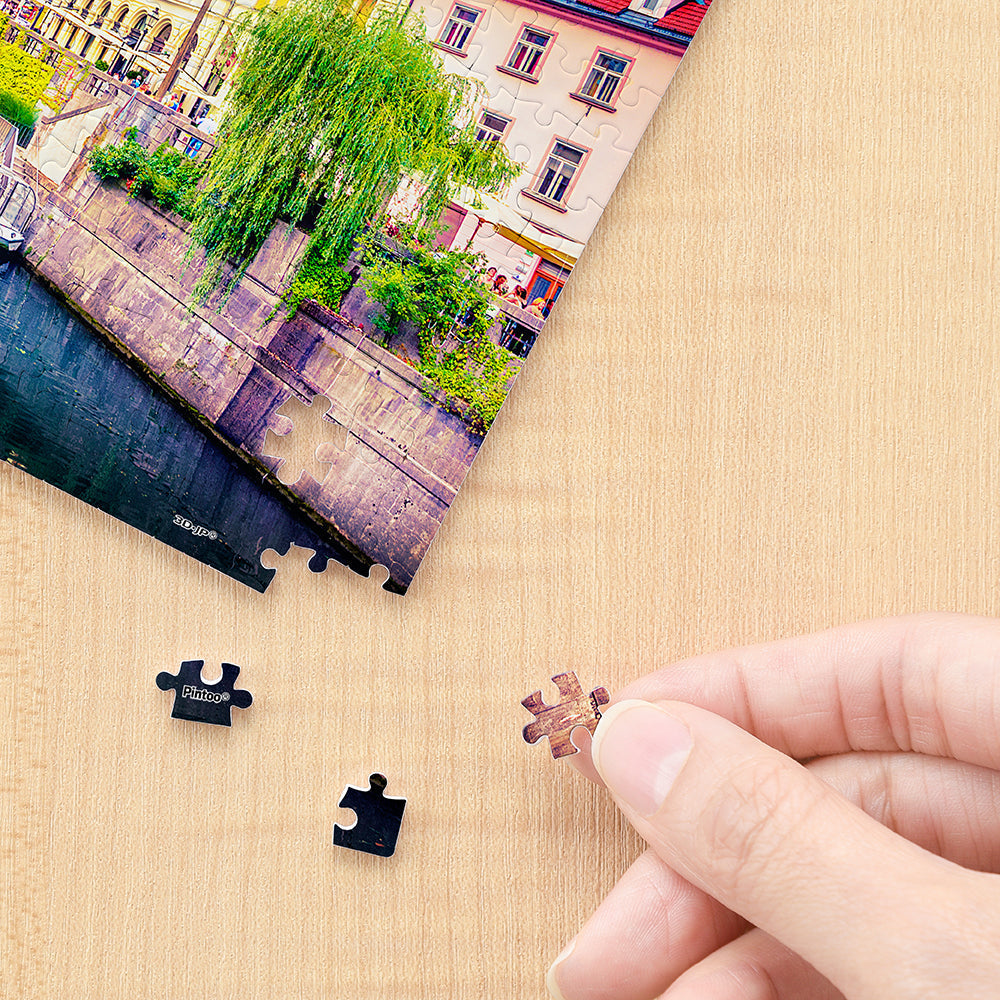 Ljubljana, Slovenia - 368 Piece XS Jigsaw Puzzle