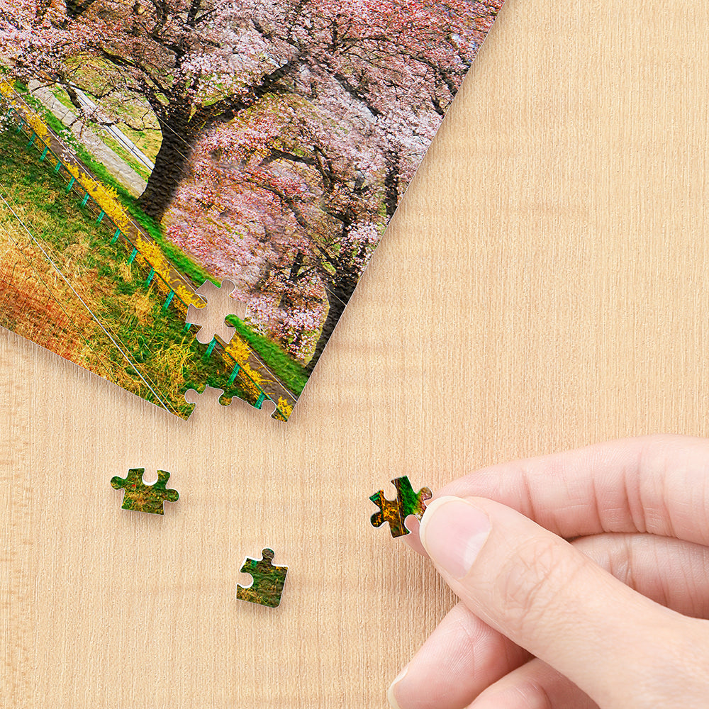 Sakura Tunnel - 368 Piece XS Jigsaw Puzzle