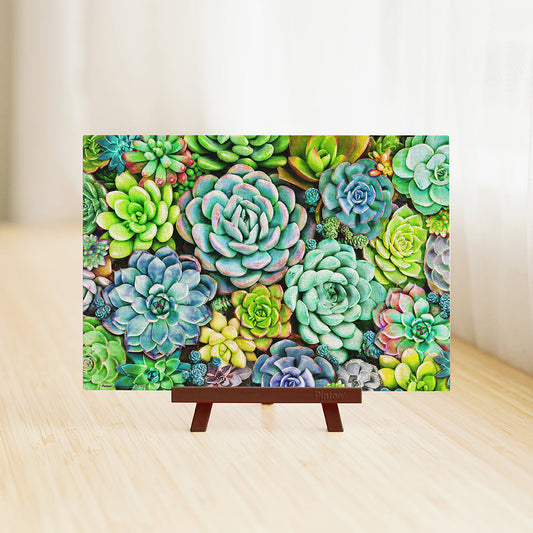 Succulent Wall - 368 Piece XS Jigsaw Puzzle