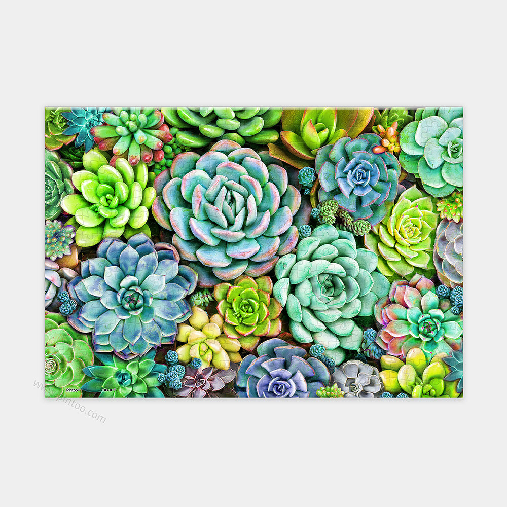 Succulent Wall - 368 Piece XS Jigsaw Puzzle