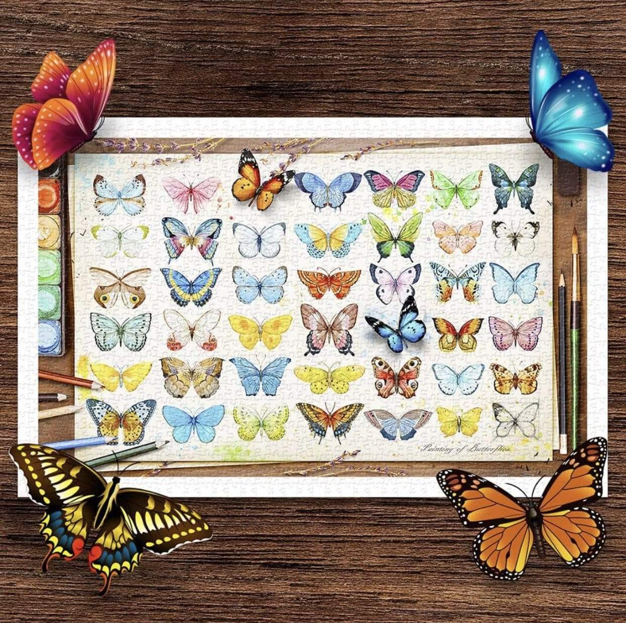 Beautiful Butterflies - 1000 Piece Jigsaw Puzzle