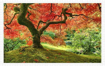 Japanese Garden in Portland - 1000 Piece Jigsaw Puzzle