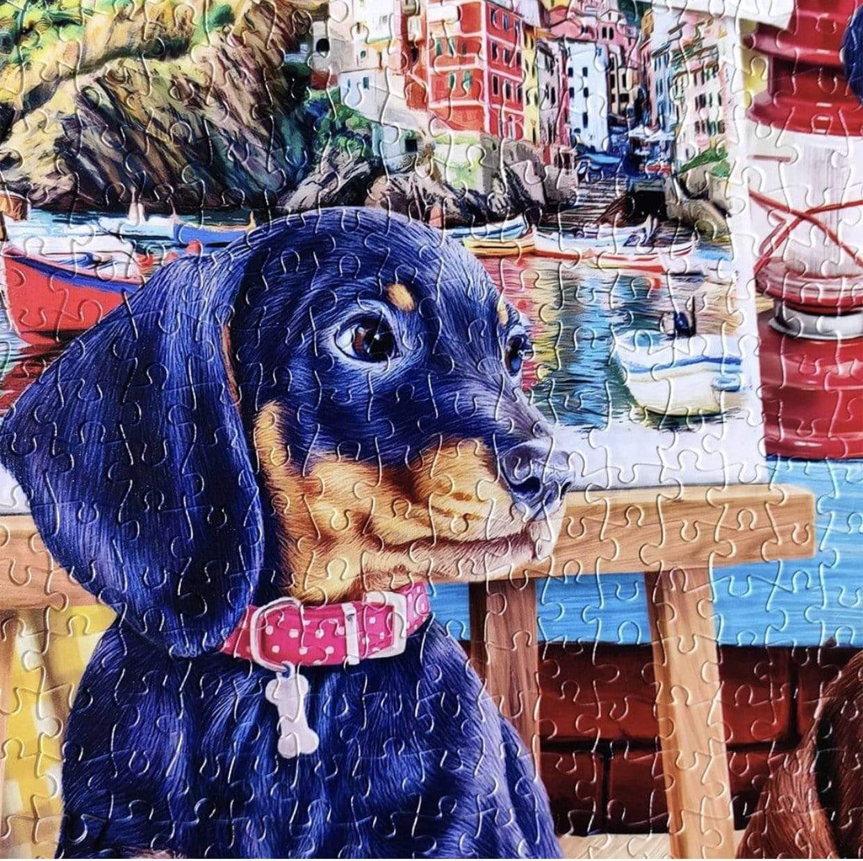 Puppies in the Studio - 1200 Piece Jigsaw Puzzle