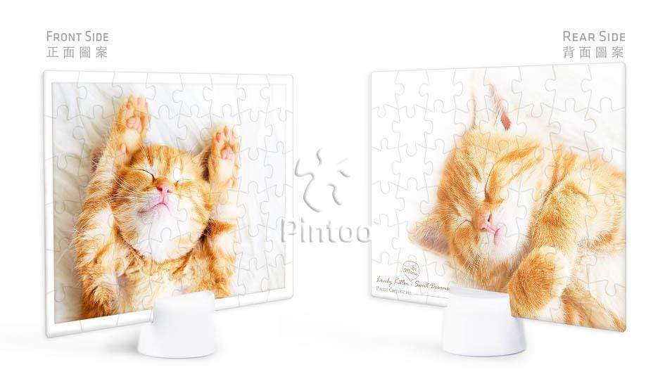 Kitten's Napping Time - 48 Piece Jigsaw Puzzle