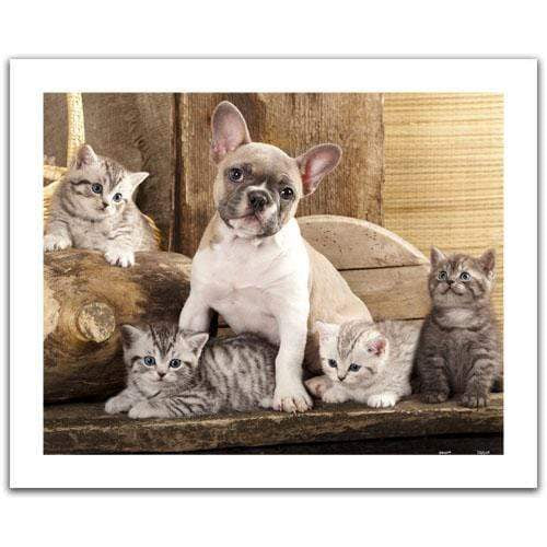 Little Kittens and a dog - 500 Piece Jigsaw Puzzle