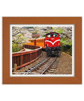 Rosewood Plastic Jigsaw Puzzle Frame (500pcs)