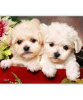 Puppies in gift box - 150 Piece XS Jigsaw Puzzle