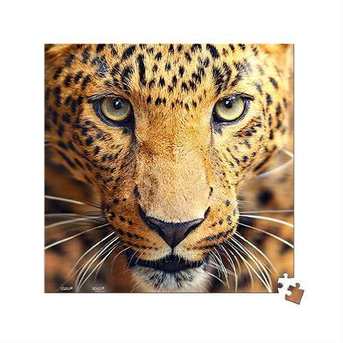 Close Up of Leopard - 256 Piece XS Jigsaw Puzzle