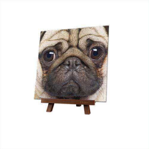 Close Up of Pug - 256 Piece XS Jigsaw Puzzle