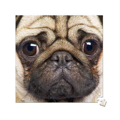 Close Up of Pug - 256 Piece XS Jigsaw Puzzle
